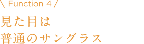 Function 4 見た目は普通のサングラス