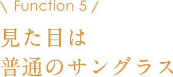 Function 5 見た目は普通のサングラス
