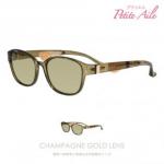 高性能偏光サングラス IDRIVE P338A-CG Petite Aile(プティエル)