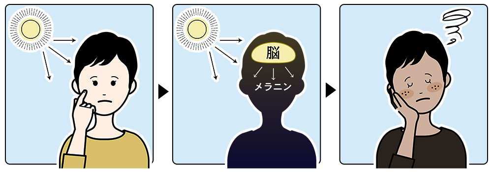 目から入る紫外線対策