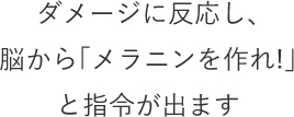 メラニンを作れと指令が出ます